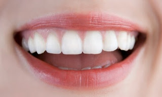 Vai trò của răng cửa -1