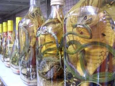 Unbelievable Poisonous Wines And Liquor