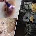 (Video) Dendam kena gigit, lelaki dera anjing dengan taser gun, paksa makan wasabi
