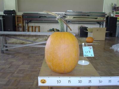 訳ありかぼちゃ