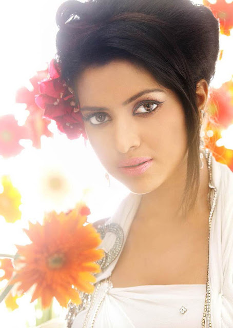 Amala Paul Cool New Photos