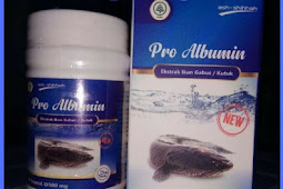 Jual Kapsul Pro Albumin Di Keerom | WA : 0857-4839-4402