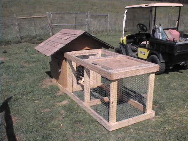 Silkie Chickens: Blessing Ridge Farm - Custom Chicken Coops For Sale