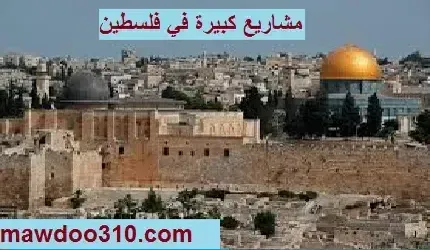 مشاريع كبيرة في فلسطين