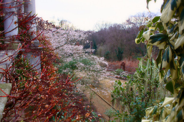 pergola gardens