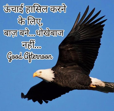 Good Afternoon Images Hindi