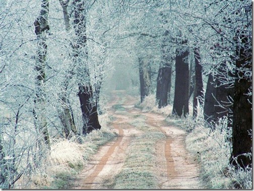 winter road from lili47