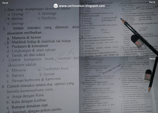 soal IPA kelas xii semester 2, soal uas IPA kelas xii beserta jawabannya