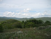 IMG_0731