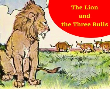 The Lion and the Three Bulls Story