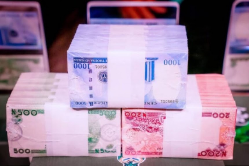 CBN begins education on new redesigned naira notes