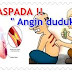 Obat Herbal Angin Duduk Paling Mujarab