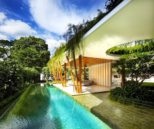 pool and green garden roof