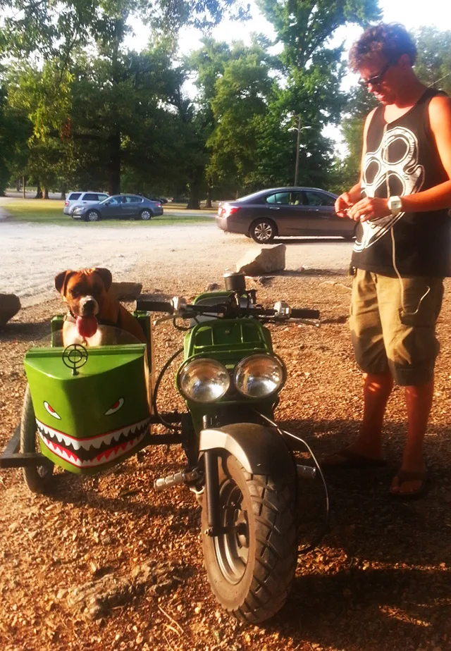 Rukus Sidecar Dog