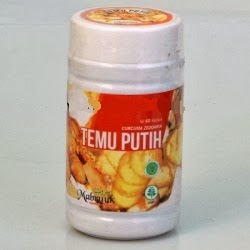 https://alamiherbalsurabaya.blogspot.com/2014/02/jual-temu-putih-kapsul-isi-60-kapsul.html