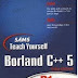 Teach Yourself Borland C++5 in 21 Days