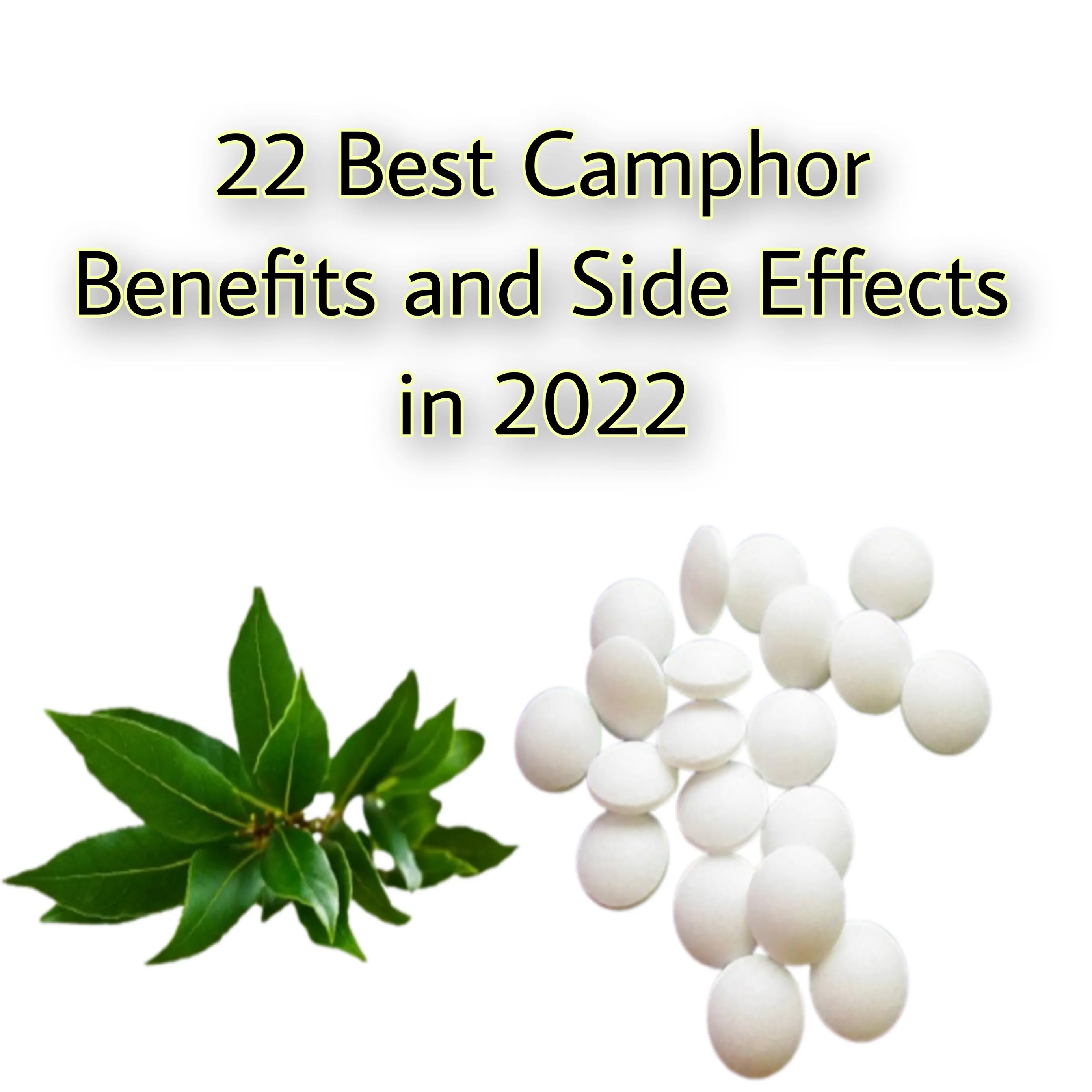Camphor Benefits and Side Effects in 2022