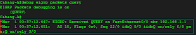 debug eigrp packet query cisco router