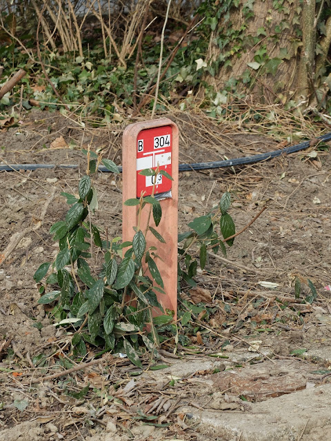 Aanwijsplaat, Zevenaar. Foto: Robert van der Kroft