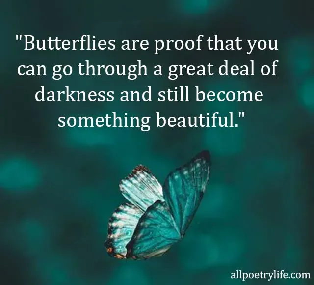 butterfly quotes, butterfly quotes short, butterfly captions for instagram, butterfly captions, butterfly sayings, butterfly quotes for instagram, butterfly quotes for her, butterfly love quotes, butterfly effect quote, be like a butterfly quotes, you give me butterflies quotes, butterfly quotes about life, butterflies rising quotes, butterfly inspirational quotes, unique butterfly quotes short, butterflies in my stomach quotes, butterfly instagram captions, butterflies in stomach quotes, fly like a butterfly quotes, butterfly motivational quotes, be like butterfly quotes, captions for butterfly, caterpillar to butterfly quotes, butterfly phrases, be a butterfly quotes, butterfly transformation quotes, quotes on butterfly and life, butterfly quotes about change, beautiful butterfly quotes, butterfly quotes for life, happiness is a butterfly quote, butterfly tagline, butterfly quotes on life, butterflies in my stomach love quotes, inspirational short butterfly quotes, butterfly and flower quotes, love is like a butterfly quote, quotes about butterflies and change, captions about butterflies, butterfly short captions for instagram, like a butterfly quotes, happiness is like a butterfly quote, quotes about butterflies and love, cute butterfly quotes, monarch butterfly quotes, butterfly sayings short, quotes related to butterfly, butterfly quotes for him, deep butterfly quotes for her, butterflies and pebbles quotes,