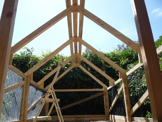 wood greenhouse plans free