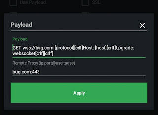 pasang-payload