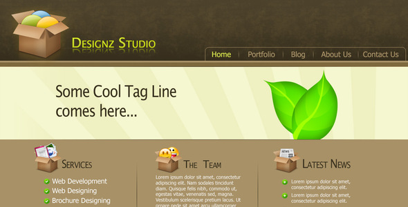 Designz Studio Template - Portfolio Creative