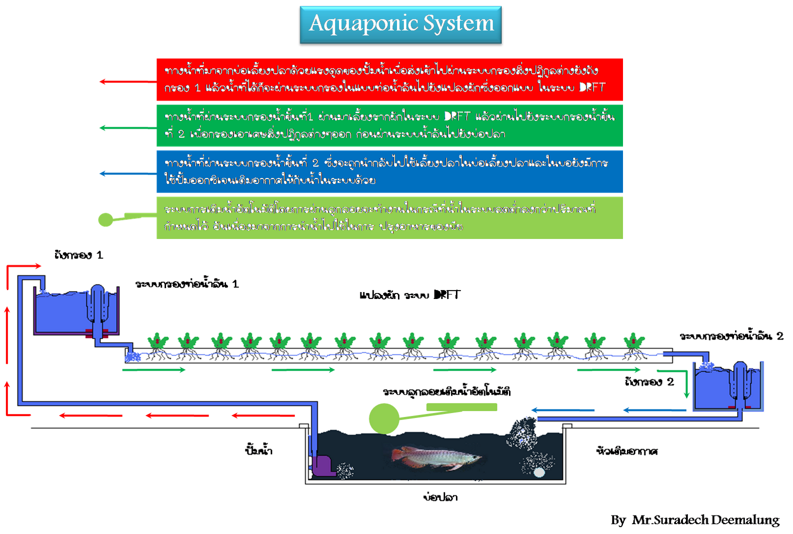 Aquaponics System