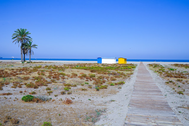 playa con una pasarela de madera, palmeras y casetillas sobre la arena con el mar de fondo