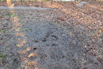 feeder pole on the ground after whitetail attack last Spring