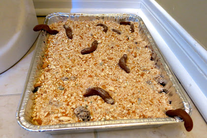 kitty litter cake without pudding