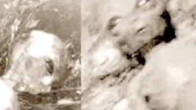 Aliens caught on camera in photos and on videos.