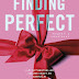 Colleen Hoover - Finding Perfect 
