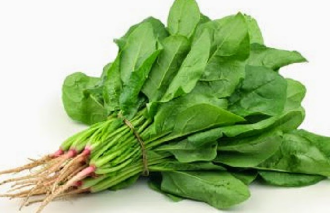 Bahaya Mengonsumsi Sayur Bayam Jika Sudah Lebih Dari 7 Jam