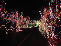 O'Fallon Missouri Celebration of Lights - Road