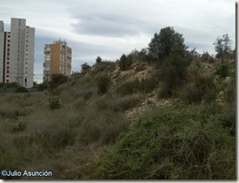 Cerro de las Balsas - Terraplén defensivo