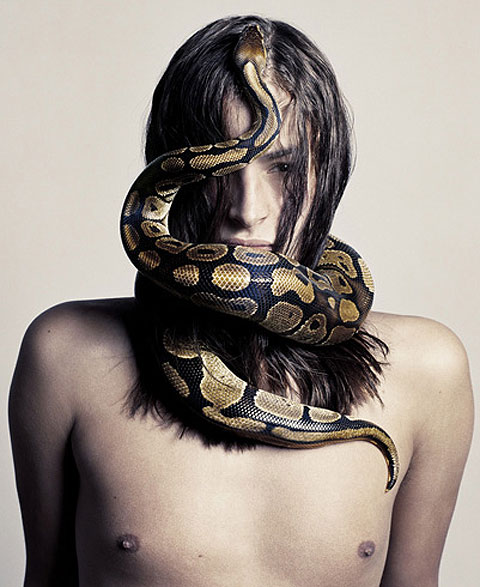 Amazing and Beautiful modals with Snakes