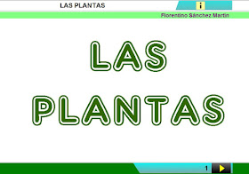 http://www.ceiploreto.es/sugerencias/cplosangeles.juntaextremadura.net/web/curso_4/naturales_4/plantas_4/plantas_4.html