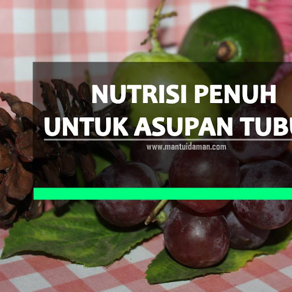 Nutrisi Penuh Yang Musti Diasup Ke Tubuh Warganet Sekalian