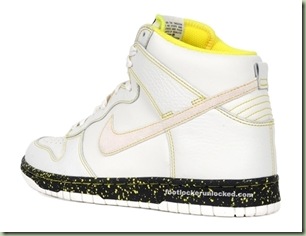 nike-dunk-swan-dunk-hi-nd-08-2