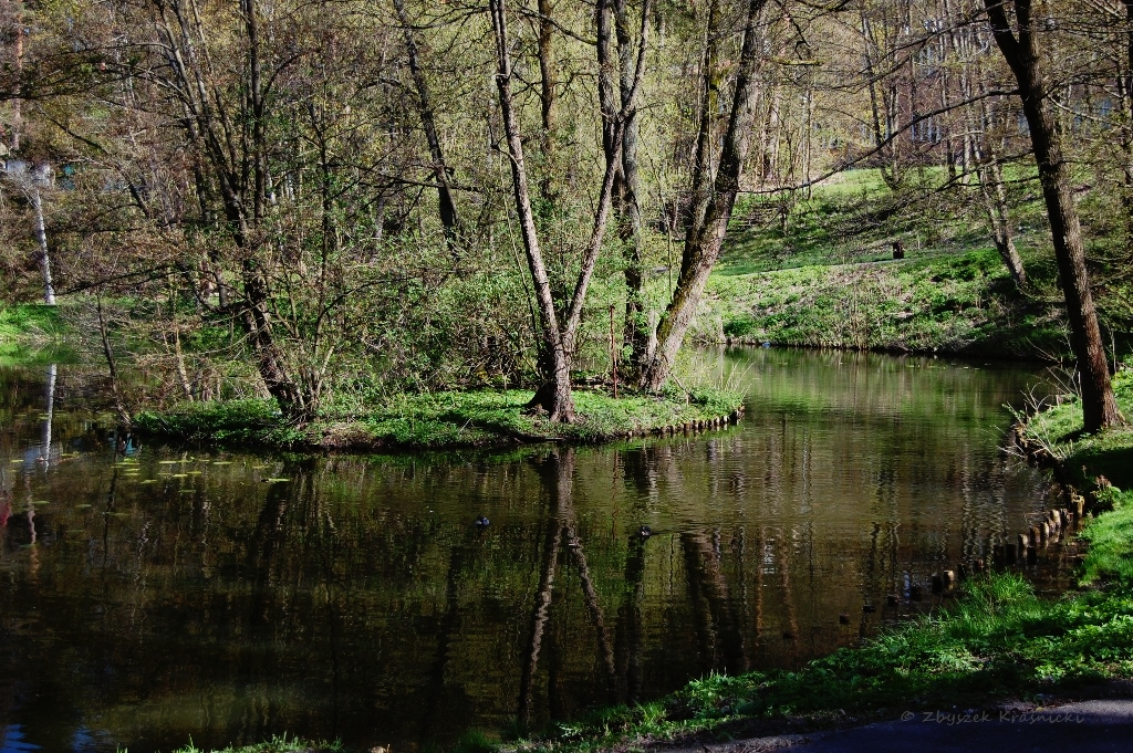 Olsztyn, Las Miejski