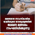 മലയോര സാംസ്കാരിക  വേദിയുടെ നേതൃത്വത്തിൽ  ലേഖന മത്സരം  സംഘടിപ്പിക്കുന്നു