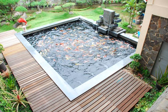 Contoh Desain Kolam Ikan Minimalis Terbaik dan Modern