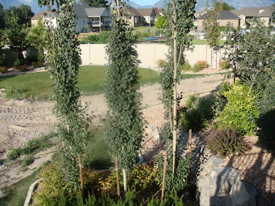 Landscaping Utah, Wasatch, Summit, &amp; Salt Lake Counties ...