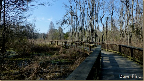 Magnolia Plantation_485