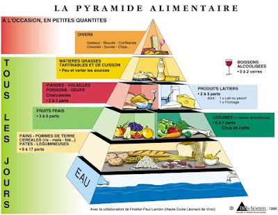 la pyramide alimentaire