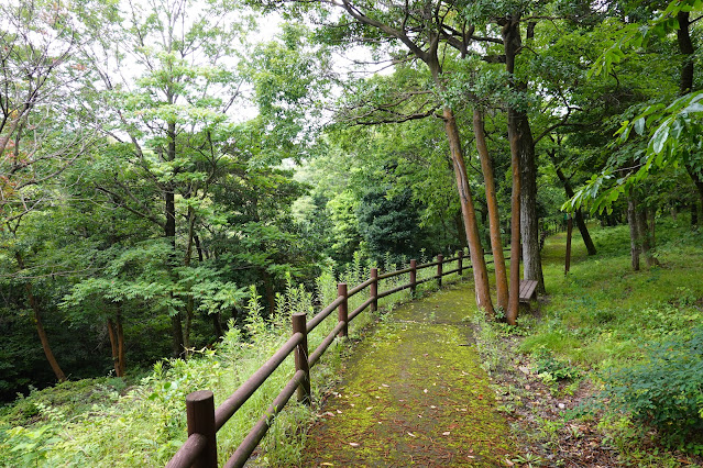 鳥取県西伯郡大山町妻木 鳥取県立むきばんだ史跡公園 弥生の森 遊歩道