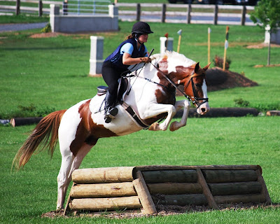 Irish Village at WEG 2010: Demonstrations