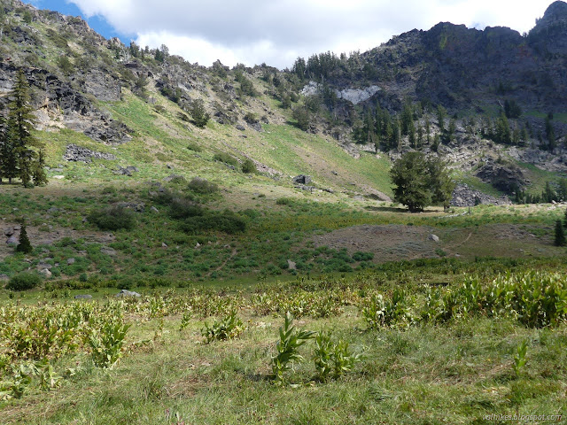 115: ridge line and trees and flat valley