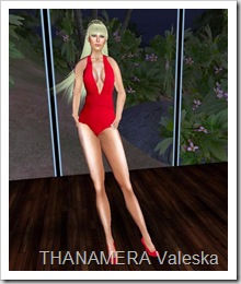 ScreenShot066
